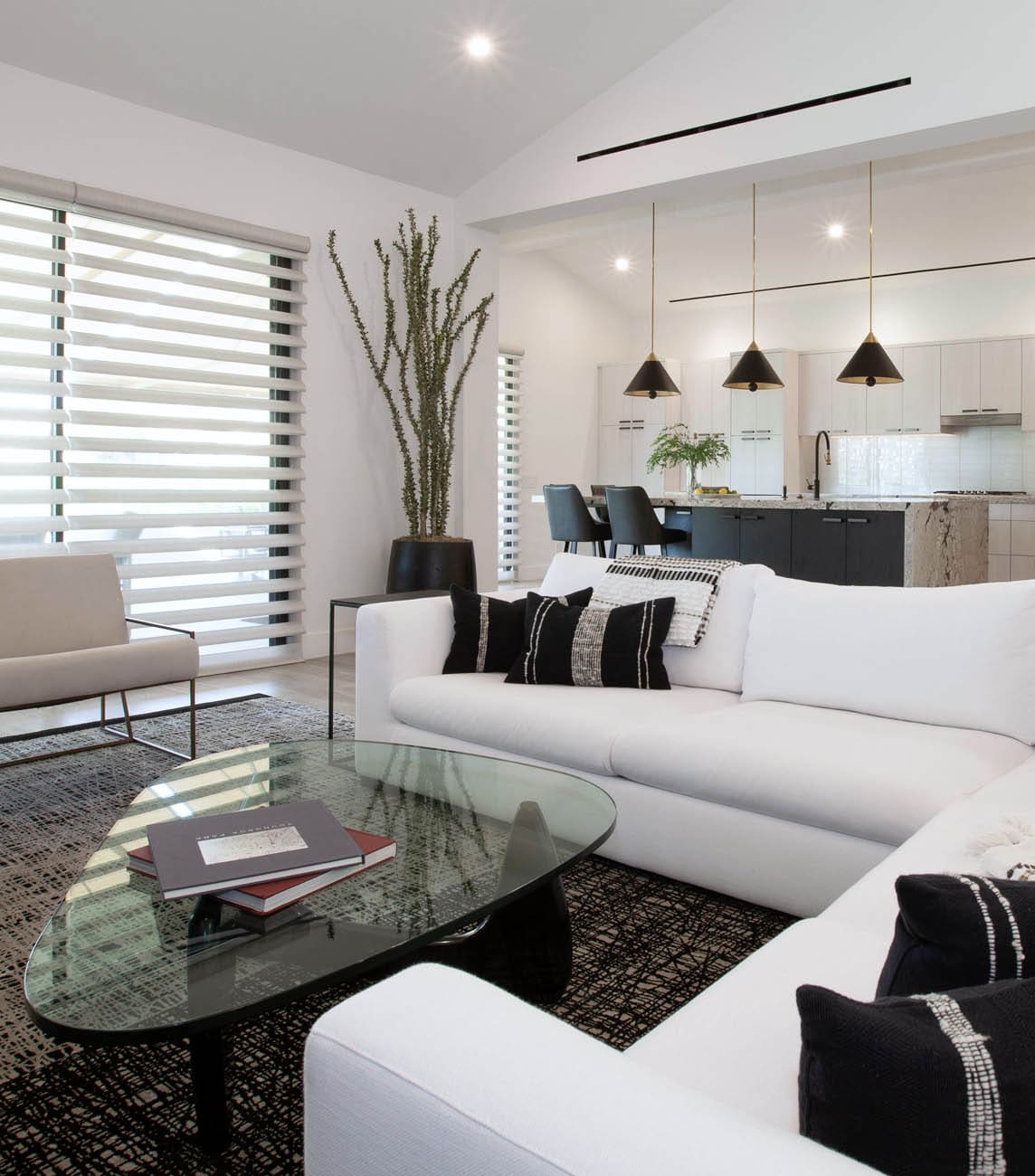 Living Rooms interior design project 13 by Design Vision Studio, Coachella Valley